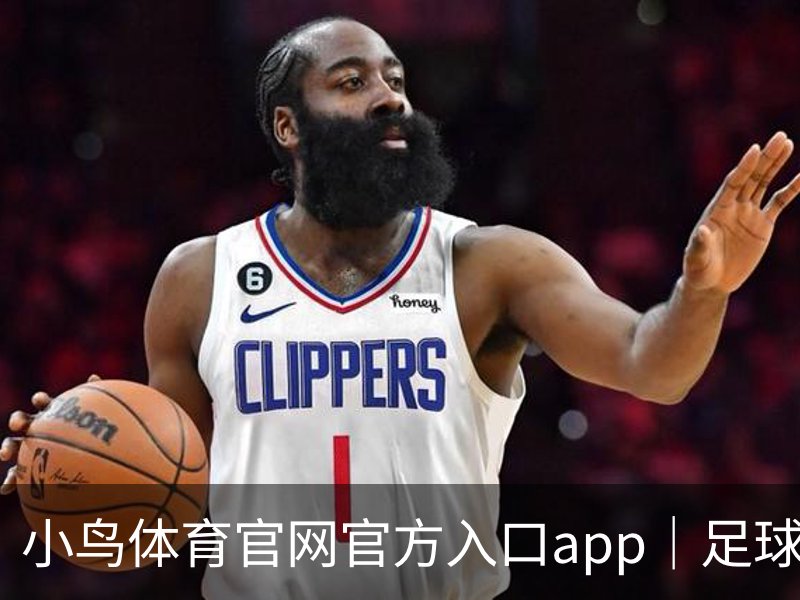 小鸟体育官网官方入口app｜足球培训